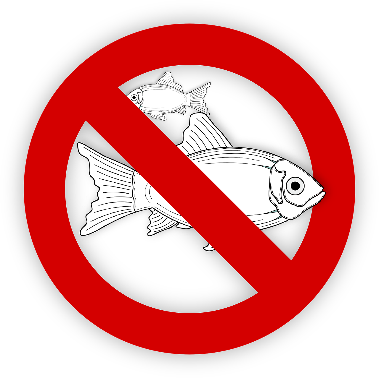 pixabay-995050-69.png